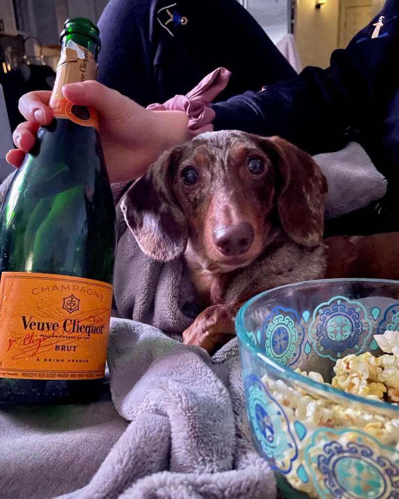Veuve Cliquot